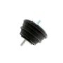 VAICO V20-1037-1 ENGINE MOUNT
