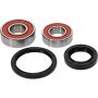 Pivot Works 25-1596-P Honda Wheel Bearing Kit Premium Bearings