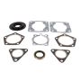 Vertex Pistons 7111740 Vertex Gaskets 80-81 Polaris Apollo/Cutlass/Galaxie Complete Gasket Kit w/ Oil Seals