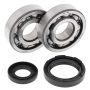 All Balls Racing 24-1027 91-97 Yamaha WR250 Crank Shaft Bearing Kit