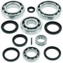 QuadBoss 413025 04-09 Kawasaki KFX700 Rear Differential Bearing & Seal Kit