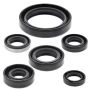 Vertex Pistons 822137 Vertex Gaskets 94-96 Kawasaki KLX250R Oil Seal Kit