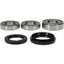 Pivot Works 25-1814-P BMW Wheel Bearing Kit Premium Bearings