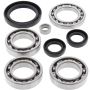 All Balls Racing 25-2028 04-06 Yamaha YFM350FA Bruin 4WD Differential Bearing & Seal Kit Front