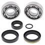 All Balls Racing 24-1099 21-23 Gas-Gas MC 50 Crank Shaft Bearing Kit