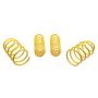 Suspension (65627 ST LOWERING SPRINGS)
