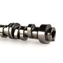 COMP Cams 689-423-13 Camshaft Gm LS 358 Vvt/Afm 27