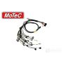 Rywire Honda B-Series (w/Motec M130 ECU) Eng Harn w/OBD1 Alt/EV1 Inj/AEM IAT & MAP (Adapter Req)