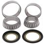 All Balls Racing 22-1037 14-16 Honda NSS300 Steering Bearing Kit