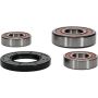 Pivot Works 25-1096-P Suzuki Wheel Bearing Kit Premium Bearings