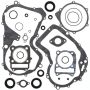 Vertex Pistons 811826 Vertex Gaskets 98-04 Arctic Cat 300 2x4 Complete Gasket Kit w/ Oil Seals
