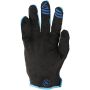 Answer 442854 Ascent Gloves