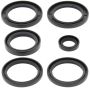 All Balls Racing 25-2062-5 03-13 Kawasaki KVF360A Prairie 4x4 Differential Seal Only Kit Rear