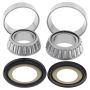 All Balls Racing 22-1009 20-23 Kawasaki KLX230 Steering Bearing Kit