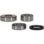 Pivot Works 25-1588-P Triumph Wheel Bearing Kit Premium Bearings