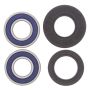 All Balls Racing 25-1426 2000 Husqvarna CR125 Wheel Bearing Kit Front