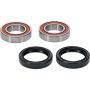 Pivot Works 25-1482-P Kawasaki, Suzuki, Yamaha Wheel Bearing Kit Premium Bearings