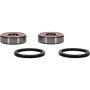 Pivot Works 25-1469-P Honda Wheel Bearing Kit Premium Bearings