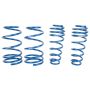 ROUSH 2005-2014 Ford Mustang V6/GT Lowering Spring Kit