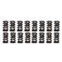 PAC RACING SPRINGS PACPAC-1203-16 1.260 Dual Valve Springs