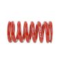 Skunk2 Universal Race Spring (Straight) - 7 in.L - 2.5 in.ID - 16kg/mm (0700.250.016S)