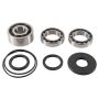 All Balls Racing 25-2108 2017 Polaris RZR 4 900 Differential Bearing & Seal Kit Front