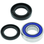 QuadBoss 413101 93-00 Honda TRX300 FourTrax Lower Steering Bearing Kit