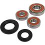 Pivot Works 25-1344-P Suzuki, Yamaha Wheel Bearing Kit Premium Bearings
