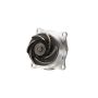 Dayco DP902 Water Pump