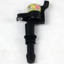 Granatelli Motor Sports 2103-SF Ignition Coil Pack