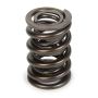 PAC RACING SPRINGS PACPAC-1940-1 Valve Spring - HR Series (1) 1.555 Dual