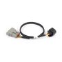 Haltech HT-186505 NEXUS Rebel LS 6-Pin DBW Adaptor