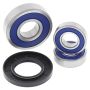 All Balls Racing 25-1096 Wheel Bearing Kits
