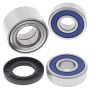 All Balls Racing 25-1729 2020 Indian CHALLENGER Wheel Bearing Kit Rear