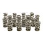 PAC RACING SPRINGS PACPAC-1332-16 1.514 Dual Valve Springs (16)