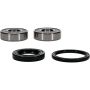 Pivot Works 25-1601-P BMW, Honda Wheel Bearing Kit Premium Bearings