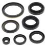 Vertex Pistons 822239 Vertex Gaskets 03-04 Arctic Cat 400 4x4 w/AT Oil Seal Kit