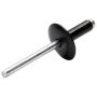 ALLSTAR PERFORMANCE ALL18053 Lg Hd Rivet Black Alum 250pk