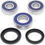 All Balls Racing 25-1587 02-08 Triumph Bonneville T100 Wheel Bearing Kit Rear