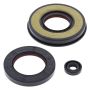Vertex Pistons 55221 Vertex Gaskets 2008 Arctic Cat 600 Sno-Pro Racer Oil Seal Kit