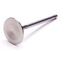 Ford Racing M-6507-J302 Intake Valve