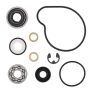 Vertex Pistons 821839 Vertex Gaskets 00-02 Arctic Cat 500 4x4 w/AT Water Pump Rebuild Kit
