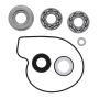 Vertex Pistons 821220 Vertex Gaskets 2018 Arctic Cat Noresman 3000 EFI Water Pump Rebuild Kit