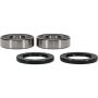 Pivot Works 25-1799-P Yamaha Wheel Bearing Kit Premium Bearings