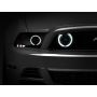 Raxiom 49176 13-14 Ford Mustang GT CCFL Halo Fog Lights- Chrome