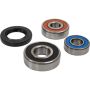 Pivot Works 25-1607-P Suzuki Wheel Bearing Kit Premium Bearings