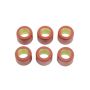 Athena S41000030P102 Variator Rollers Kits