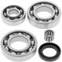All Balls Racing 25-2018 88-02 Kawasaki KLF220 Bayou Differential Bearing & Seal Kit Rear