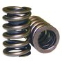 Howards Racing Components 98214 (Vss) Springs