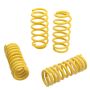 Suspension (65503 ST LOWERING SPRINGS)